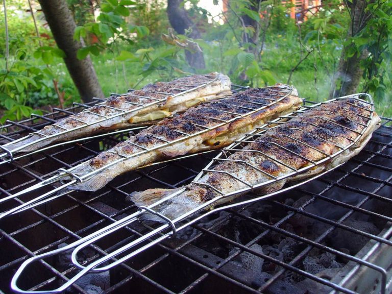 fisch sucht fahrrad erst ab 25